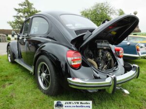 Bertie12thJune2016 (14)
