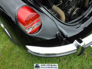 Bertie12thJune2016 (15)