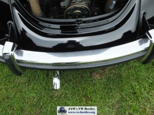 Bertie12thJune2016 (16)