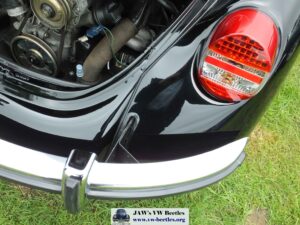Bertie12thJune2016 (17)