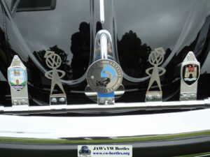 Bertie12thJune2016 (19)