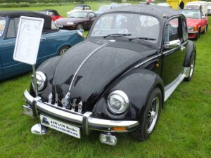 Bertie12thJune2016 (2)