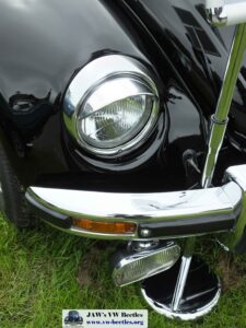 Bertie12thJune2016 (21)