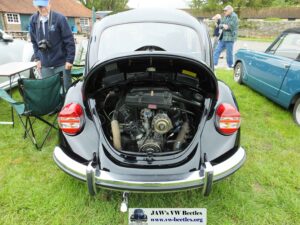 Bertie12thJune2016 (3)