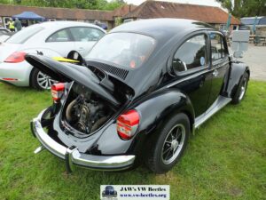 Bertie12thJune2016 (5)