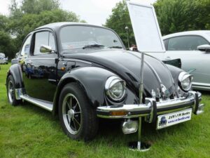 Bertie12thJune2016 (9)