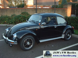 Bertie4thOct2006 (2)