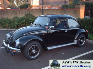Bertie4thOct2006 (3)