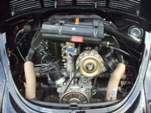 Bertie6thOct2006 (7)