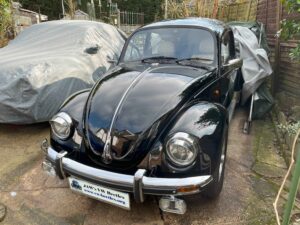 BertieFeb162025 (7)