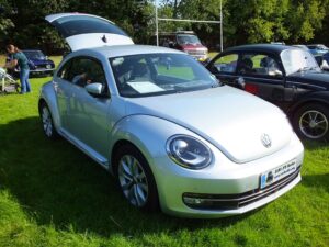Gertie20thAug2017 (1)