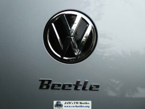 Gertie20thSept2014 (40)