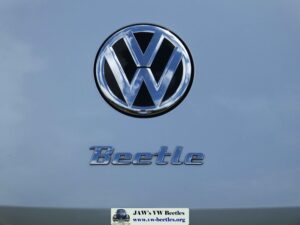 GertieAugust2016 (11)