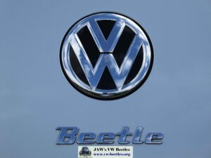 GertieAugust2016 (12)