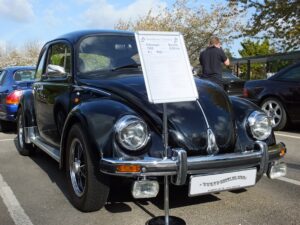 mybeetle13april2014 (10)