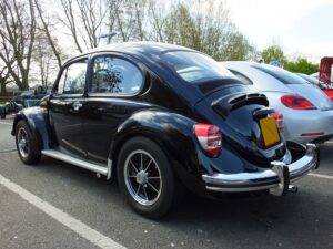 mybeetle13april2014 (11)