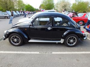 mybeetle13april2014 (12)