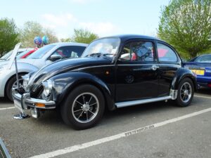 mybeetle13april2014 (13)