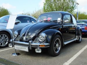 mybeetle13april2014 (14)