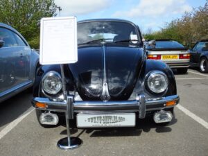 mybeetle13april2014 (15)