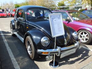 mybeetle13april2014 (20)