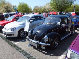 Bertie & Gertie