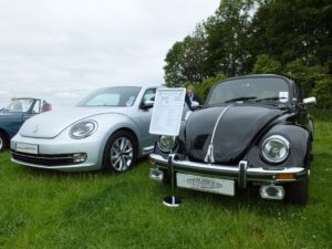 mybeetle15june2014 (1)
