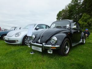 mybeetle15june2014 (2)