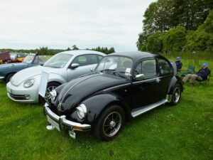 mybeetle15june2014 (24)