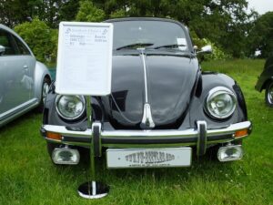 mybeetle15june2014 (3)