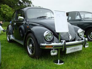 mybeetle15june2014 (4)