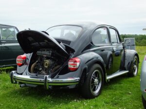 mybeetle15june2014 (5)