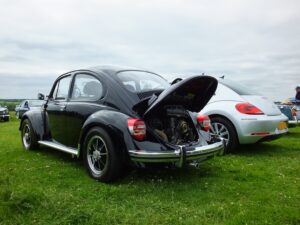 mybeetle15june2014 (6)