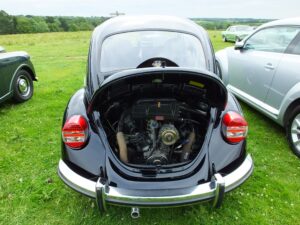 mybeetle15june2014 (8)