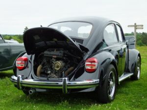 mybeetle15june2014 (9)