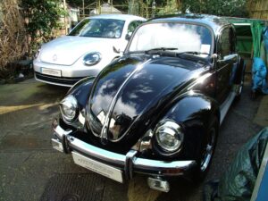Bertie & Gertie