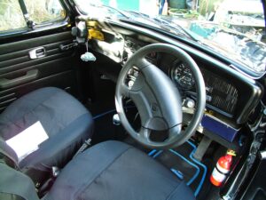 mybeetle16thfeb2014 (25)