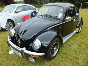 mybeetle17aug2014 (1)