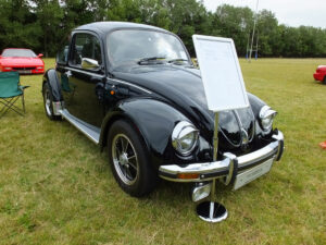 mybeetle17aug2014 (12)