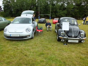 mybeetle17aug2014 (13)