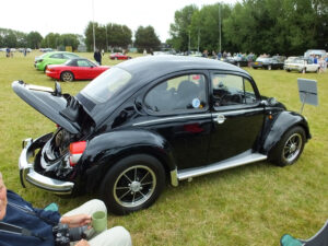mybeetle17aug2014 (14)