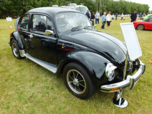 mybeetle17aug2014 (15)