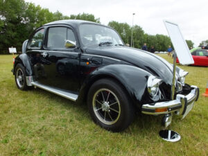 mybeetle17aug2014 (16)