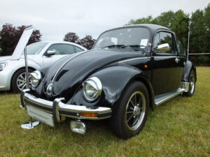 mybeetle17aug2014 (2)