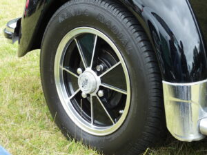 mybeetle17aug2014 (23)