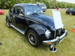 mybeetle17aug2014 (24)