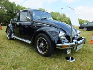 mybeetle17aug2014 (25)