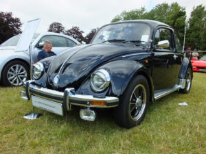 mybeetle17aug2014 (26)