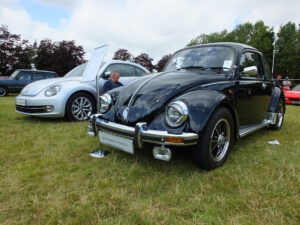 mybeetle17aug2014 (27)