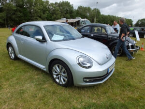 mybeetle17aug2014 (29)